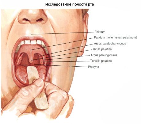 Небо