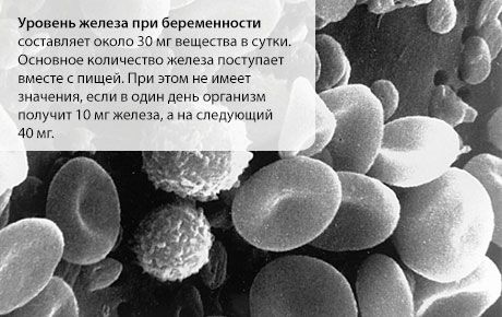 Гвожђе током трудноће